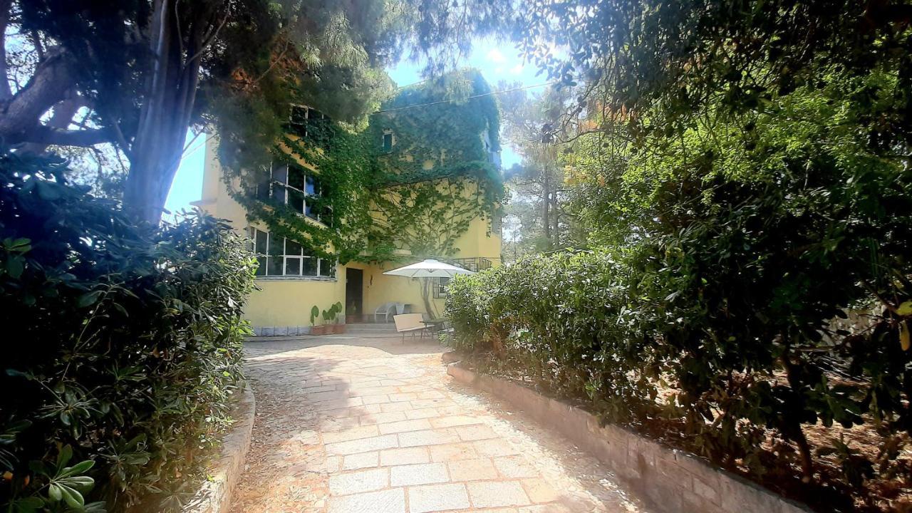 Old Captain'S Apartments - In A Pine Wood By The Sea And Tennis Courts Split Eksteriør billede