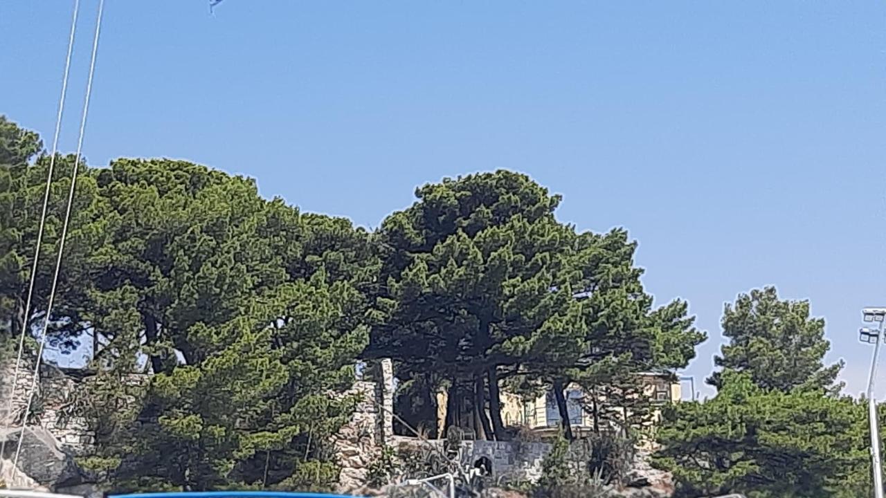 Old Captain'S Apartments - In A Pine Wood By The Sea And Tennis Courts Split Eksteriør billede
