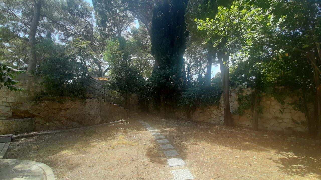 Old Captain'S Apartments - In A Pine Wood By The Sea And Tennis Courts Split Eksteriør billede